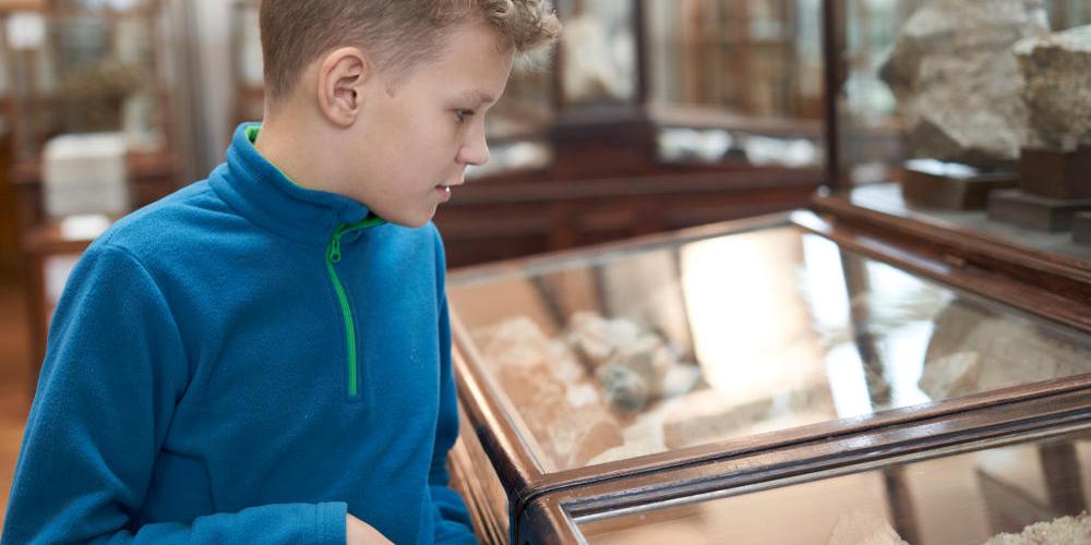 Kantonsmuseum für Naturgeschichte