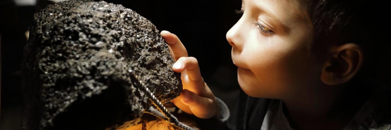 Mineralogical Museum