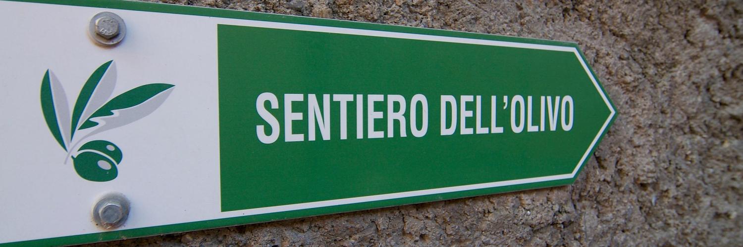 Olivenpfad