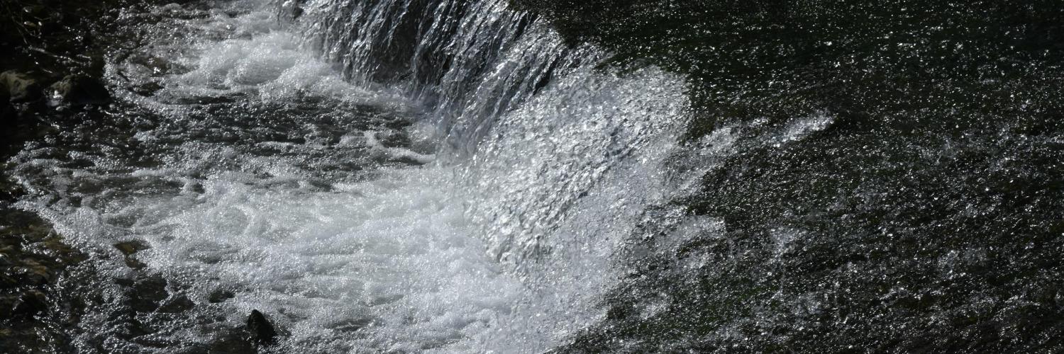 Mouth of the Algar River