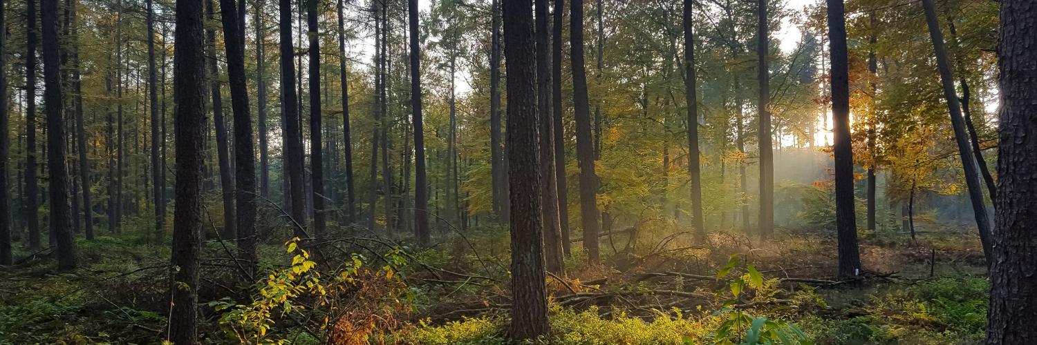 Landgoed Prattenburg