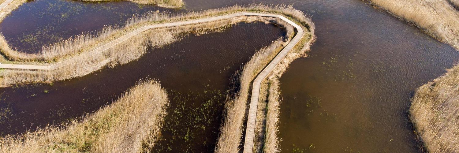 Vogelschutzgebiet Marjal Pego-Oliva