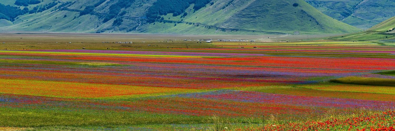 Piana di Castelluccio