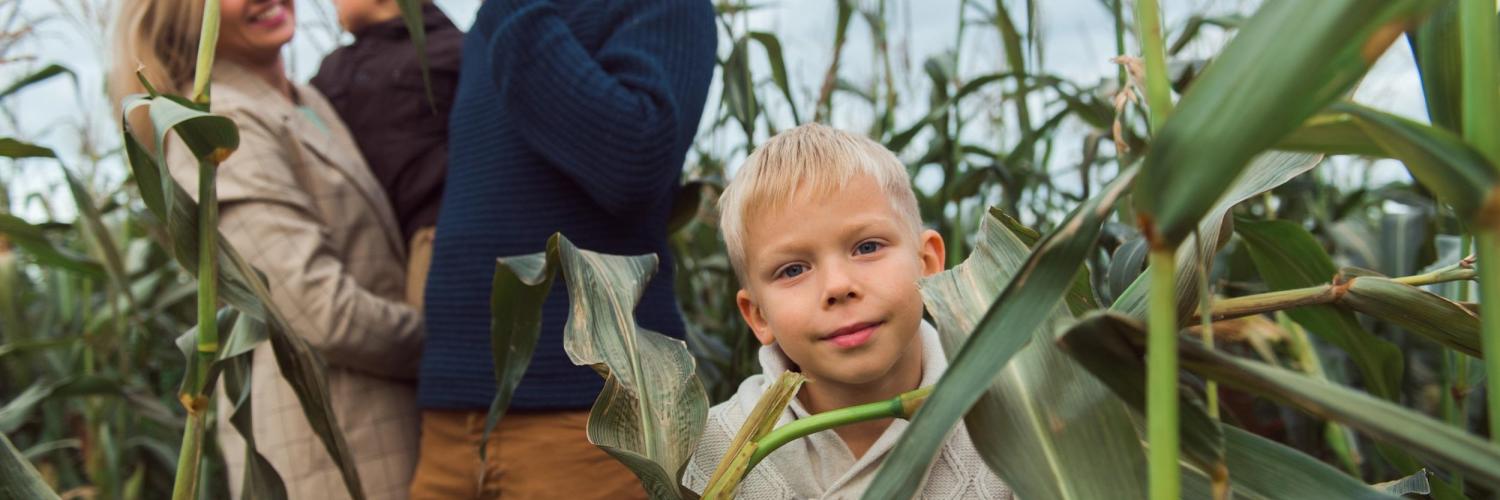 Le labyrinthe de Lanès