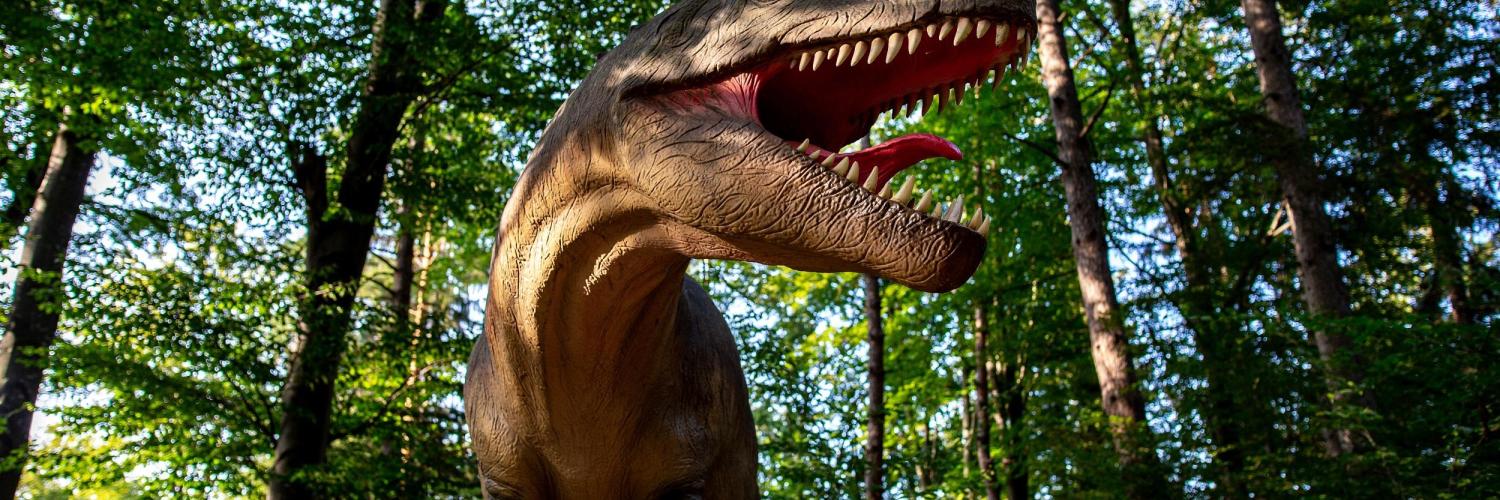 Dinosaures Parc
