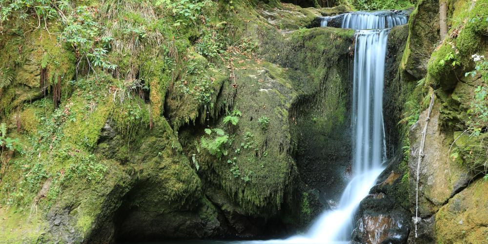 Geroldsauer Wasserfälle im Schwarzwald