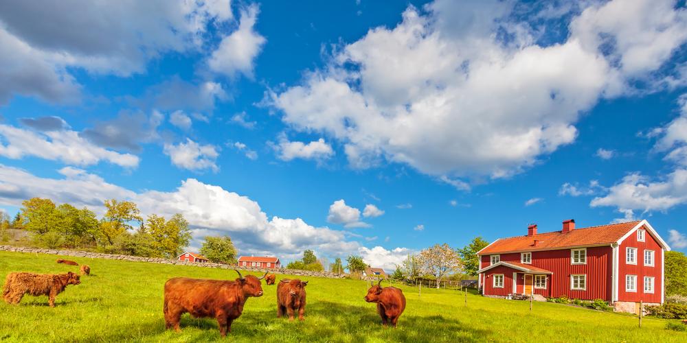 Schweden Süden Småland