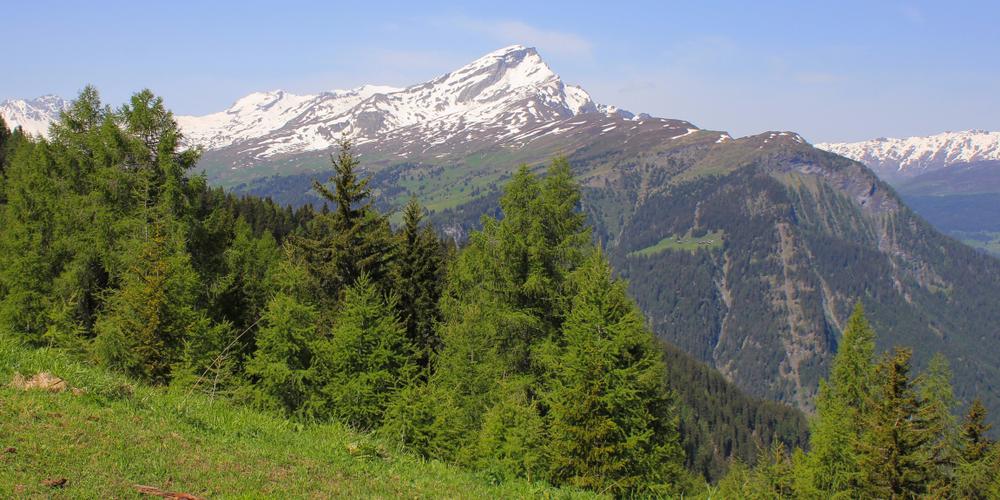 Urmein Thusis Wandern