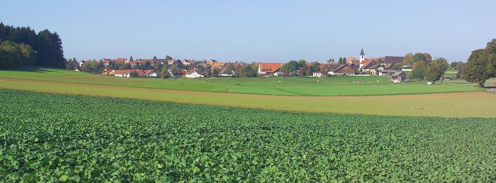 Dittishausen fields & village