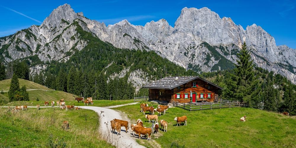 Ferienhaus Salzburger Land