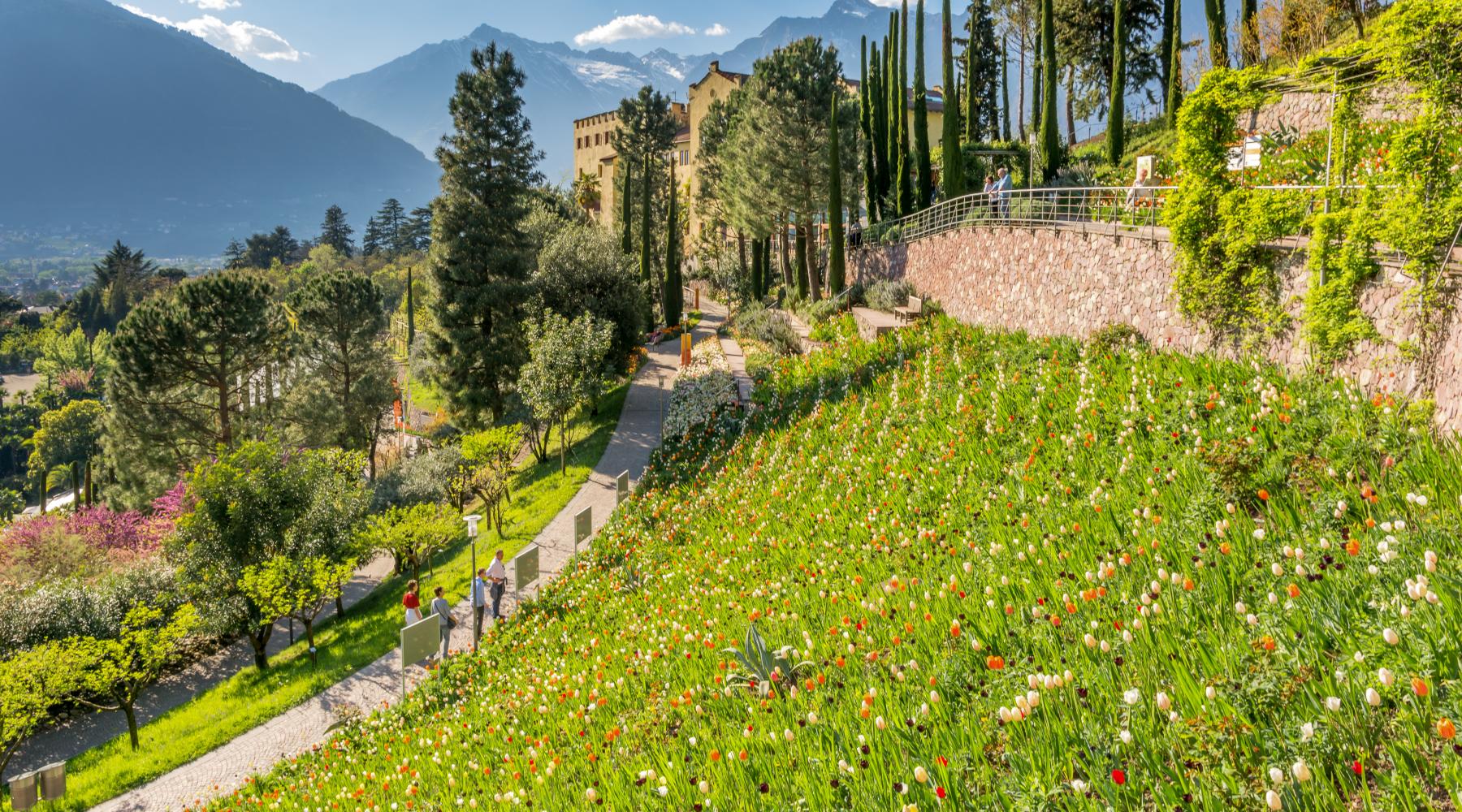 Giardino botanico Trentino