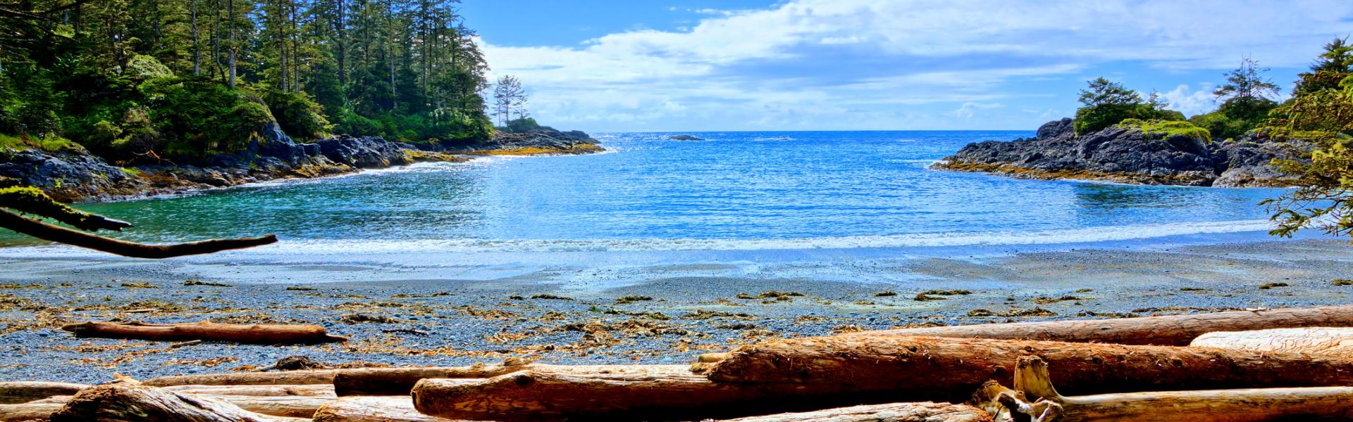 Holiday lettings & accommodation in Tofino - HomeToGo