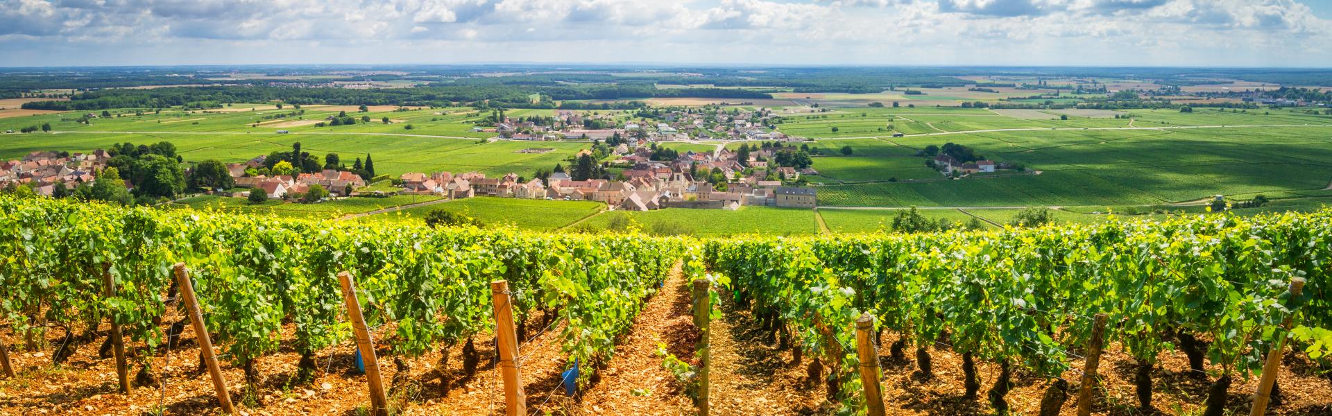 Case vacanze in Borgogna nel cuore della Francia - Casamundo