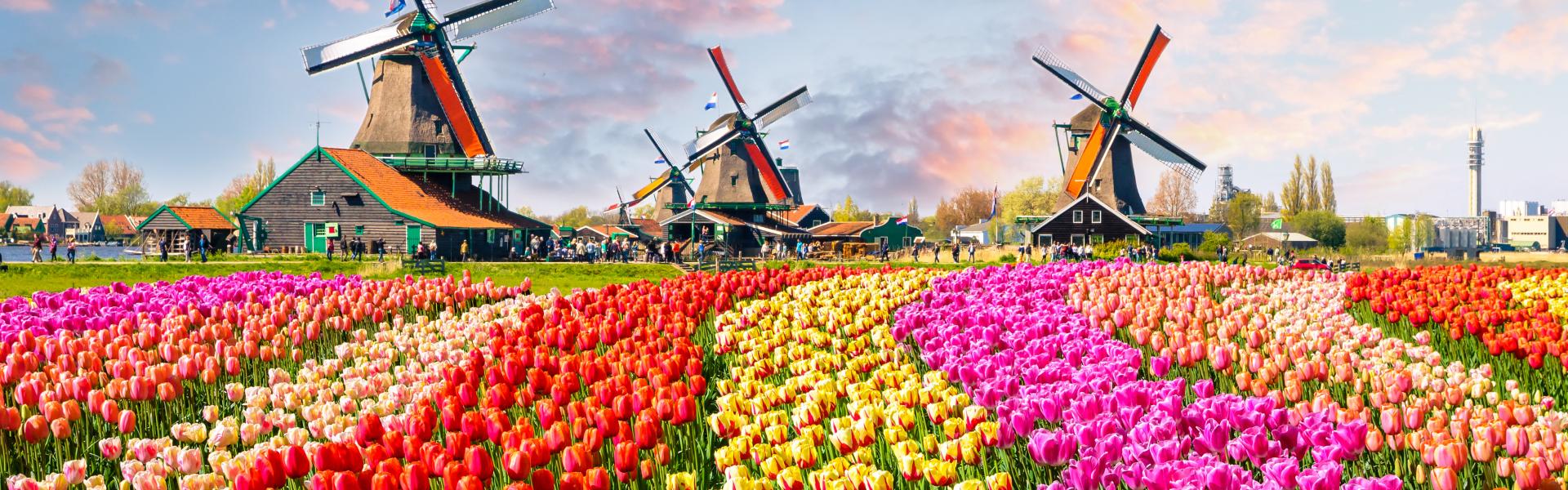Amsterdam en huvudstad som erbjuder fantastiska möjligheter - Casamundo