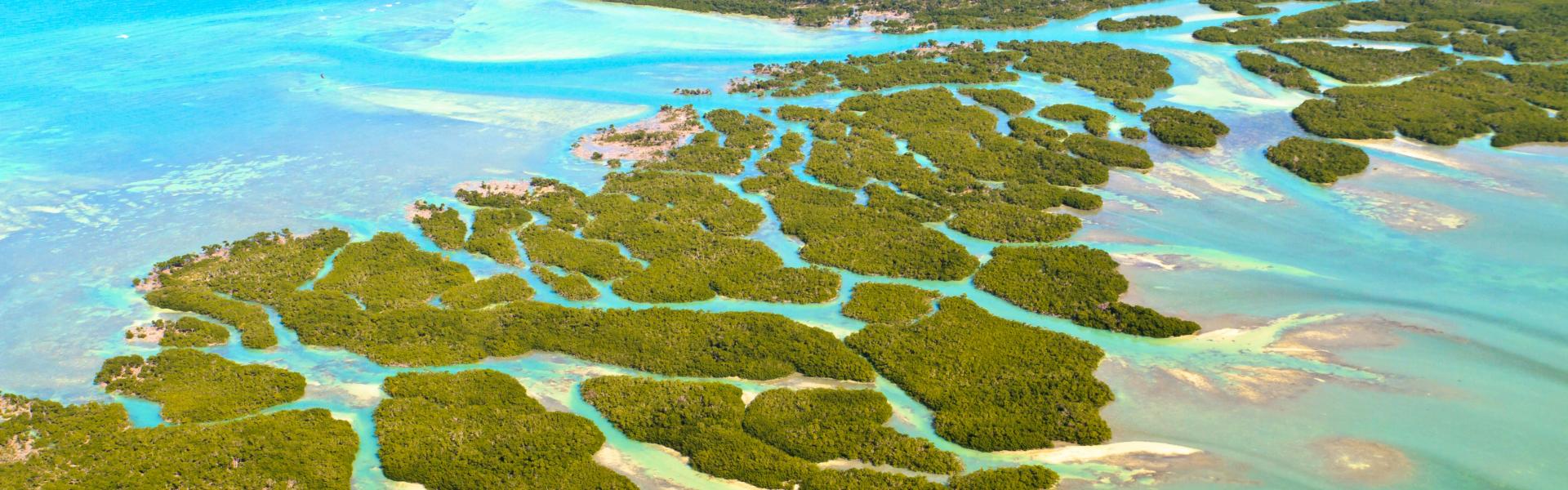 Ferienwohnungen und Ferienhäuser in Florida Keys - Wimdu