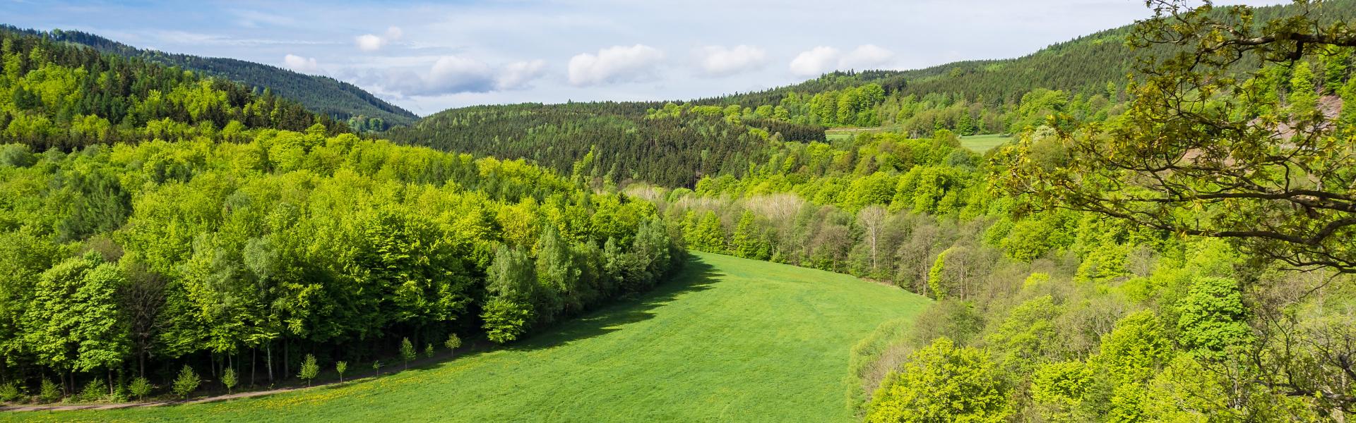 Ferienwohnungen & Ferienhäuser für Urlaub im Thüringer Wald - Casamundo