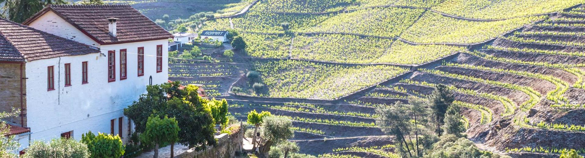 Die schönsten Ferienhäuser 
in La Rioja - EuroRelais