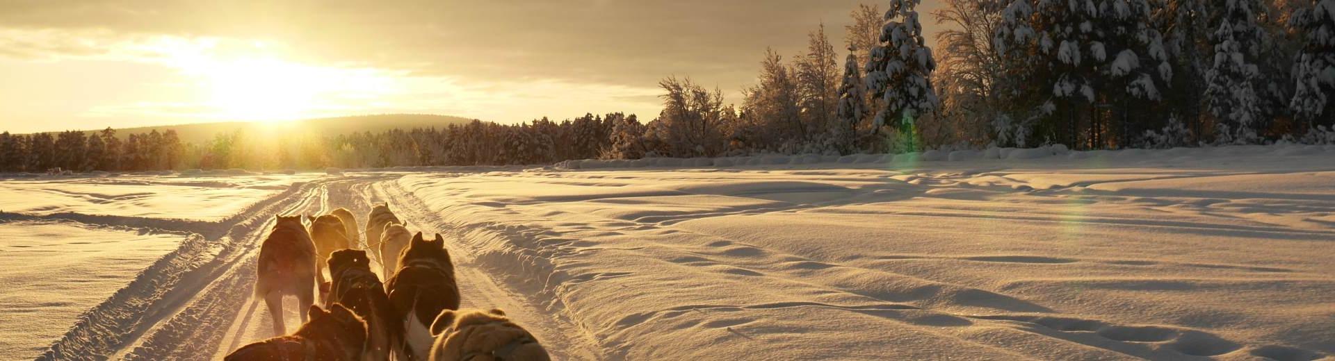 Die schönsten Ferienhäuser 
in Lappland - EuroRelais