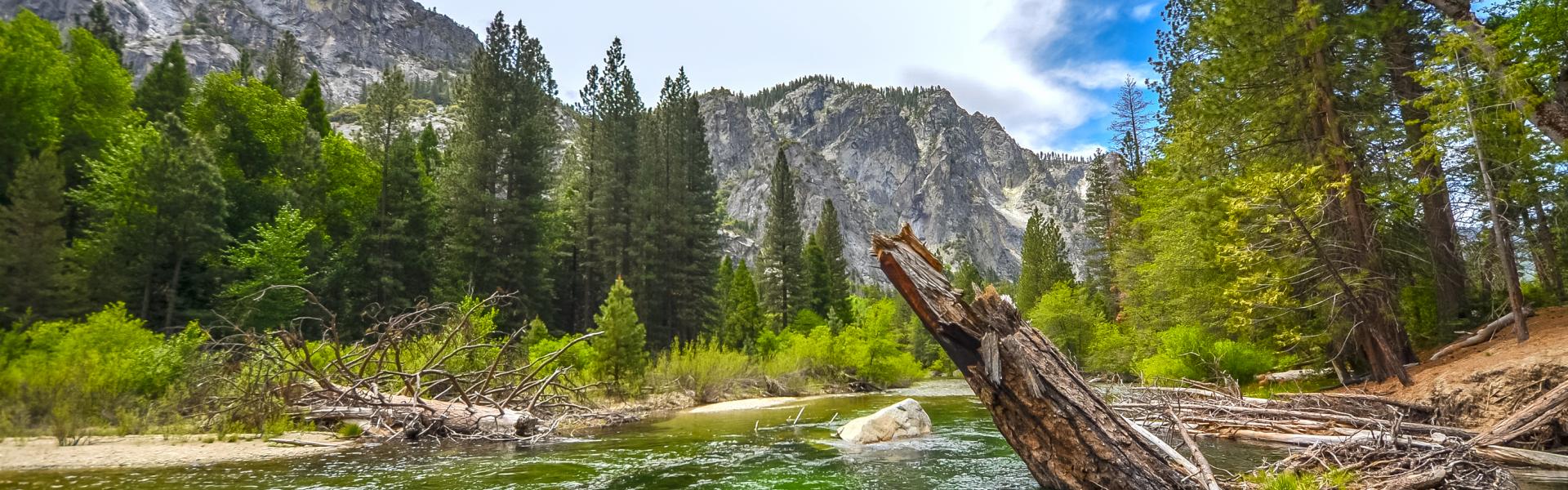 Sequoia National Park Vacation Rentals - HomeToGo