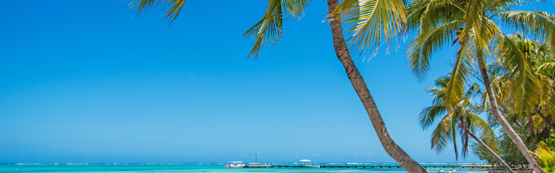 Cayman Islands Vacation Rentals - HomeToGo