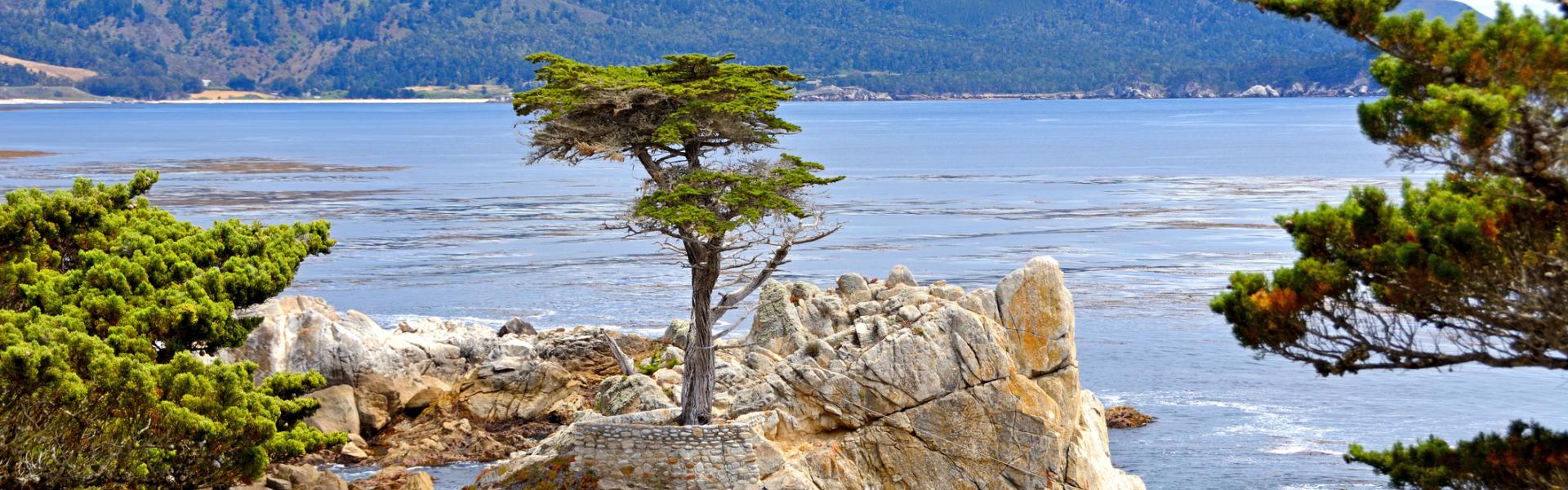 Monterey Vacation Rentals - HomeToGo