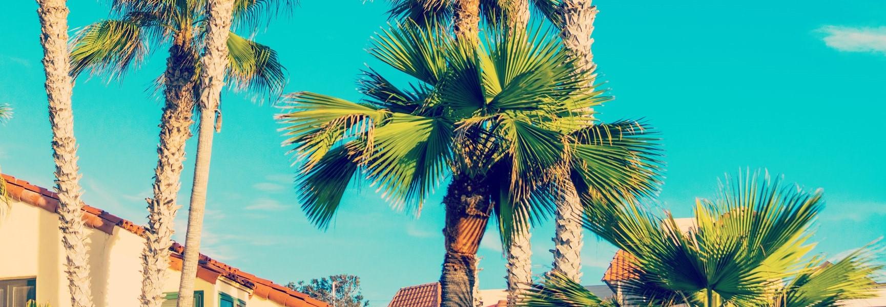 35 Things to Do in Oceanside, CA (By a Local!)