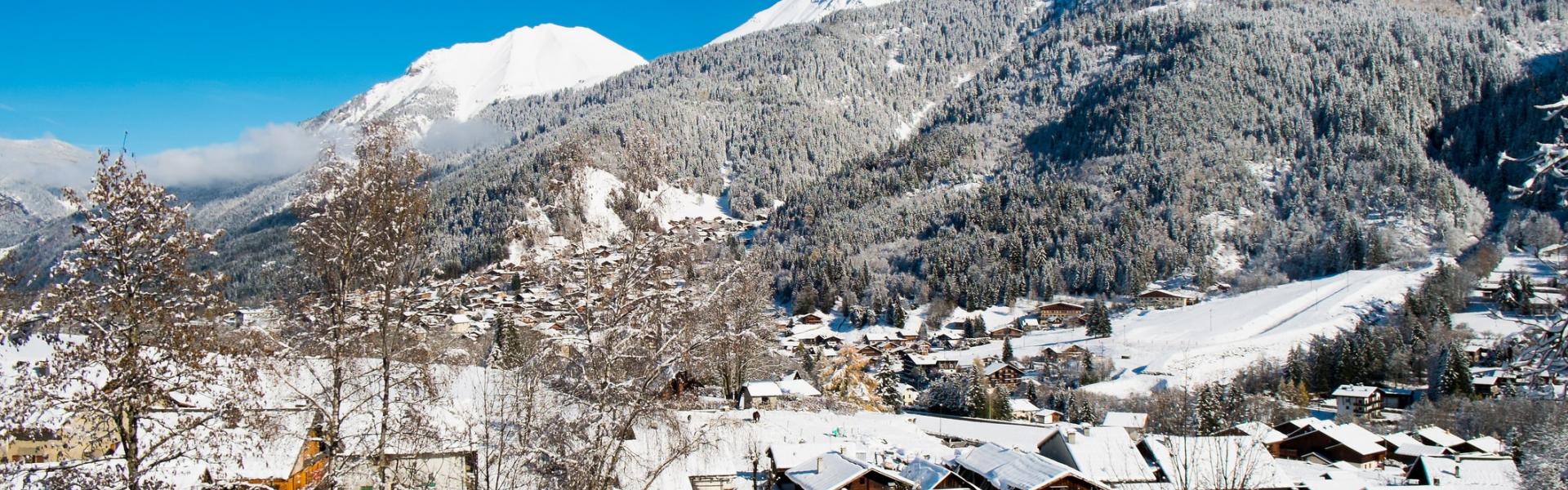 Vakantiehuizen en appartementen in Haute-Savoie - HomeToGo