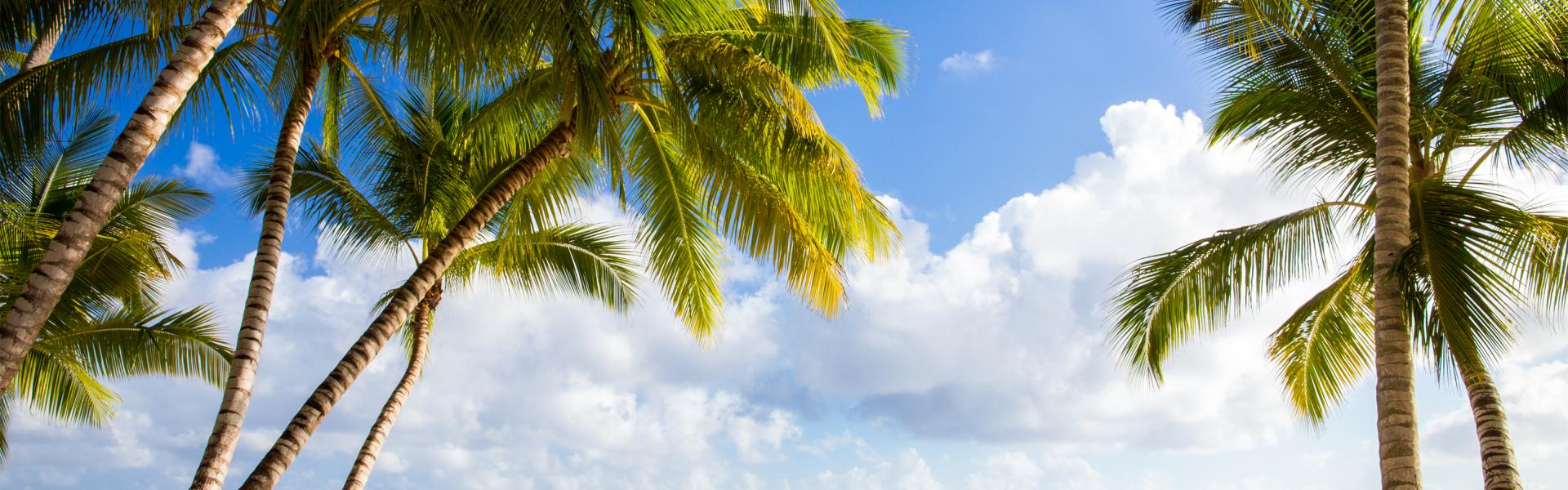 Locations de vacances et de villas en République dominicaine - HomeToGo