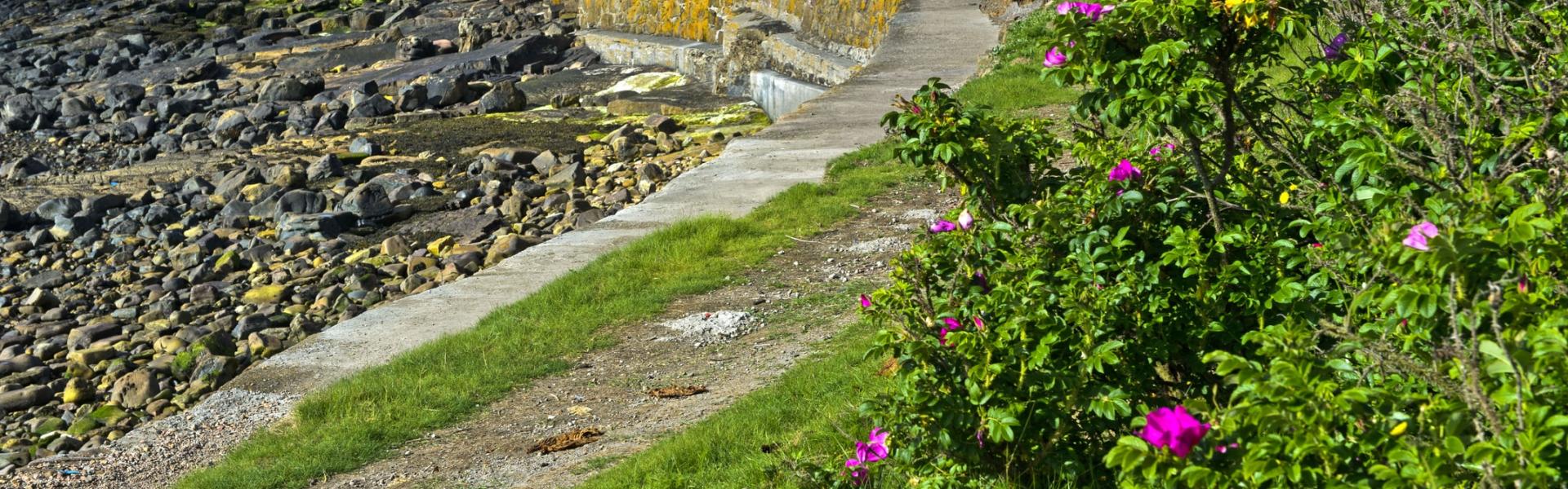 Holiday lettings & accommodation in East Neuk - HomeToGo