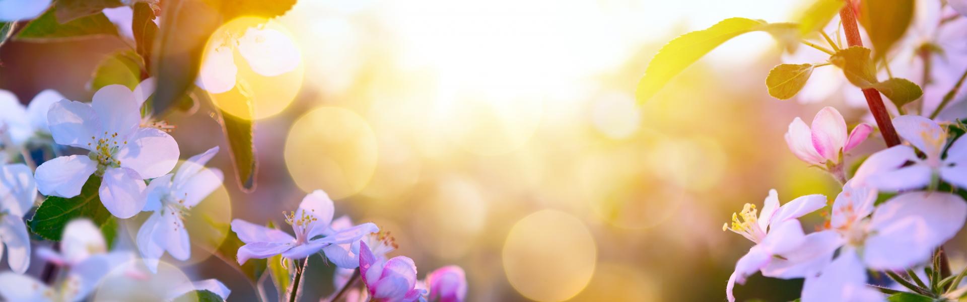 Last-Minute im Mai:  - HomeToGo