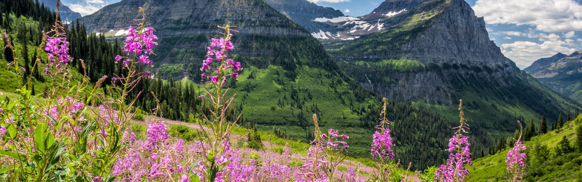 Holiday lettings & accommodation in Glacier National Park - HomeToGo