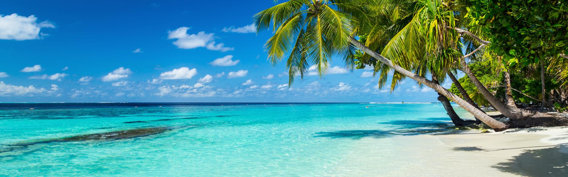 Dominica Vacation Rentals - HomeToGo