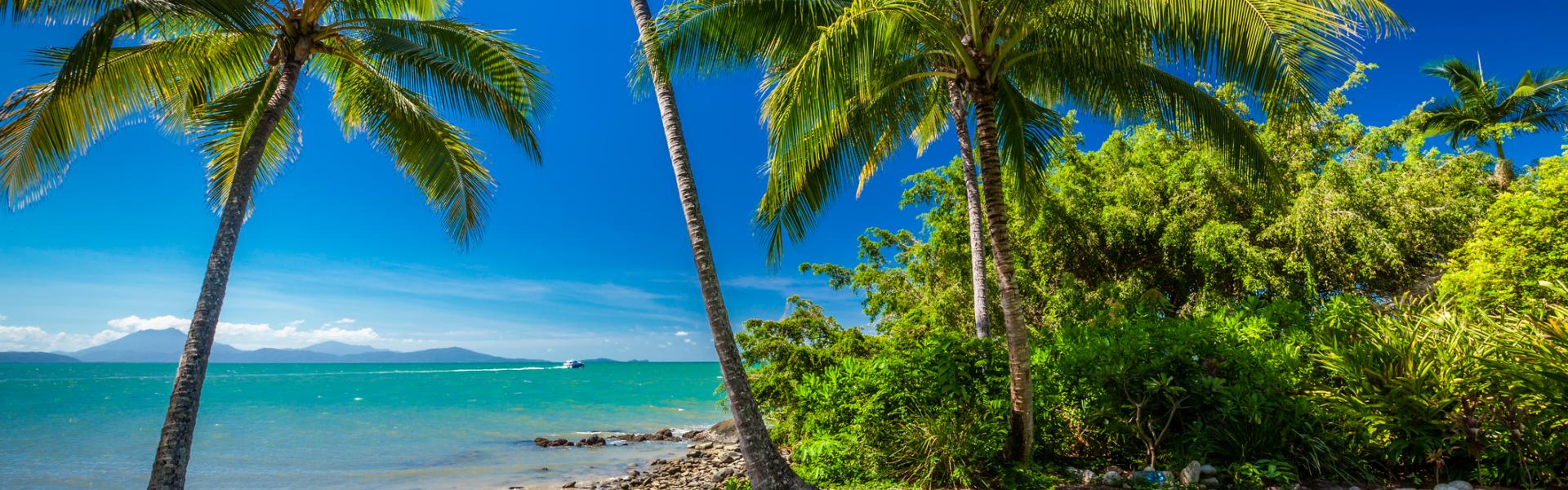 Locations de vacances et appartements à Cairns - HomeToGo