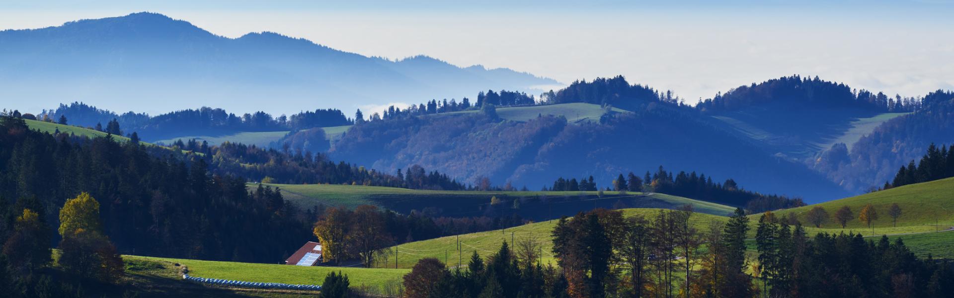 Ferienwohnungen und Ferienhäuser im Schwarzwald - HomeToGo