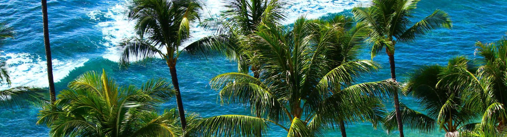 Ferienwohnungen & Ferienhäuser für Urlaub auf Guadeloupe - Casamundo