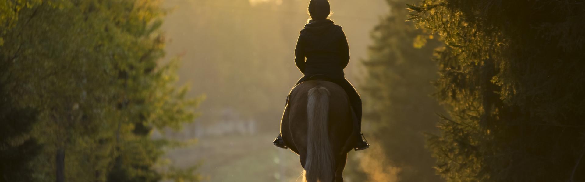 Horse Riding Holidays in the UK - HomeToGo