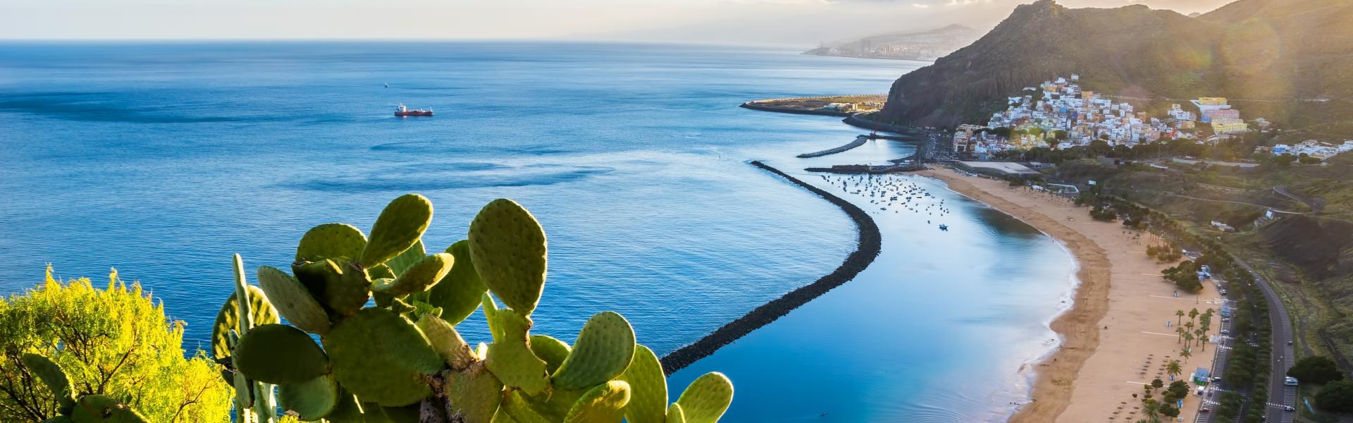 Feriehus & leiligheter Santa Cruz de Tenerife - HomeToGo