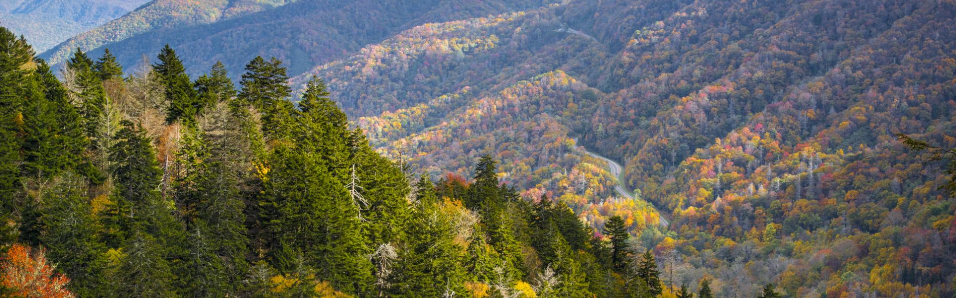 Holiday lettings & accommodation in Smoky Mountains - HomeToGo