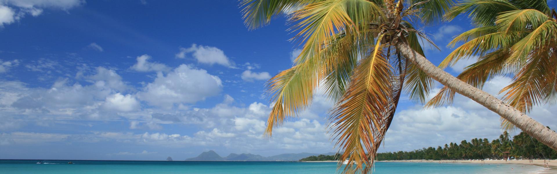 Vakantiehuizen en appartementen aan de Martinique - HomeToGo