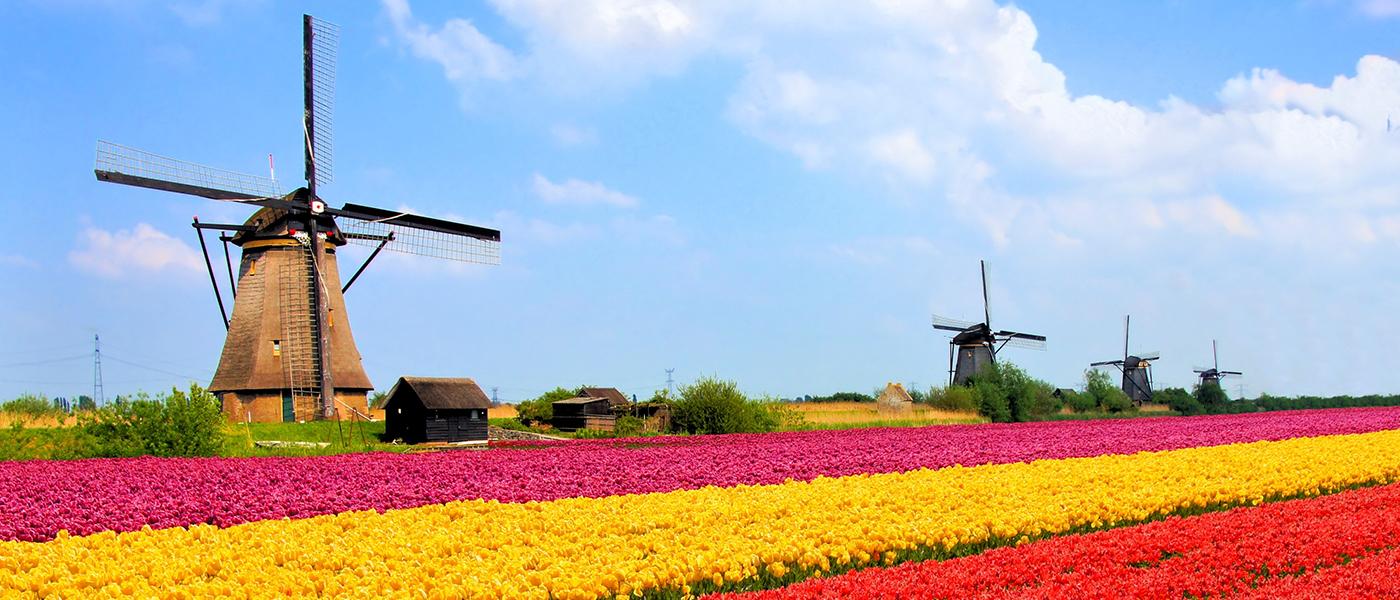 Alquileres y casas de vacaciones en Países Bajos - Wimdu