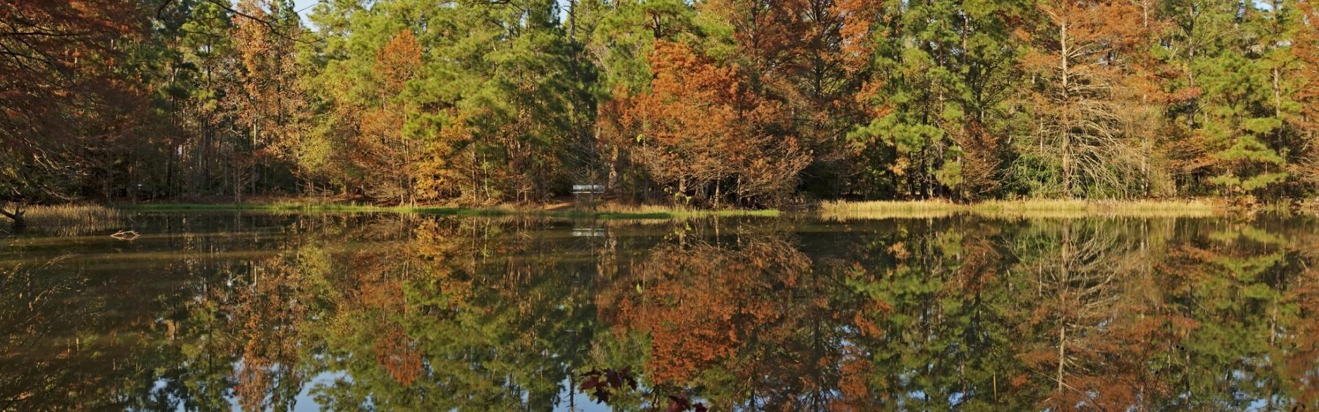 Mississippi State Parks - HomeToGo
