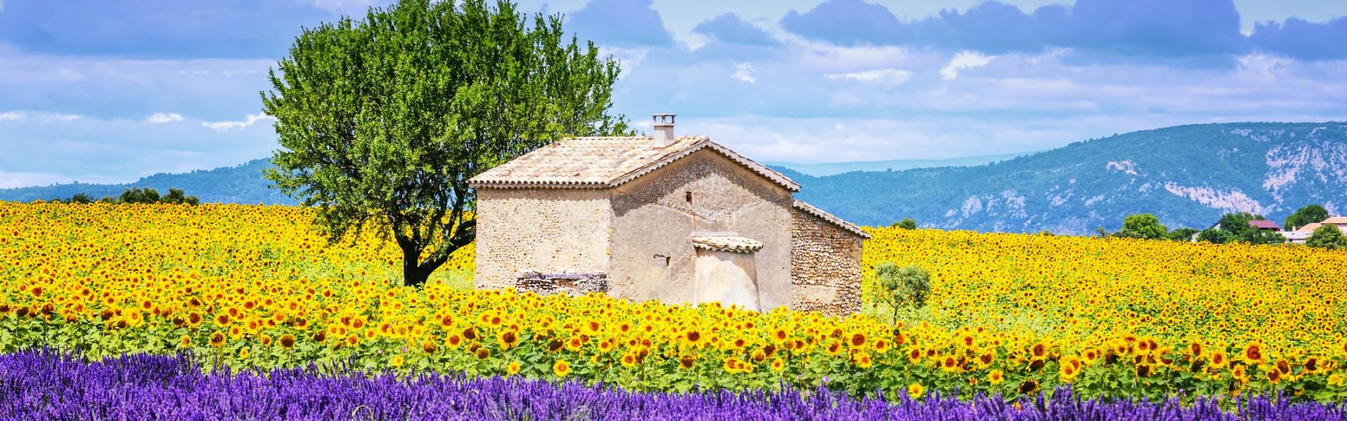 Vakantiehuizen en appartementen in de Provence-Alpes-Côte d'Azur - HomeToGo