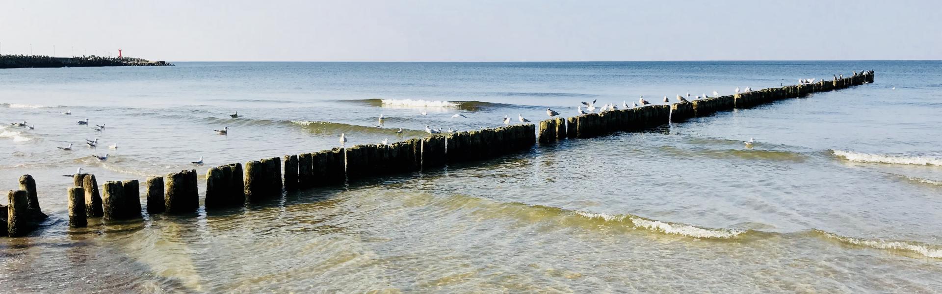 Reisen wie Einheimische: Geheimtipps für den Urlaub in Polen - HomeToGo