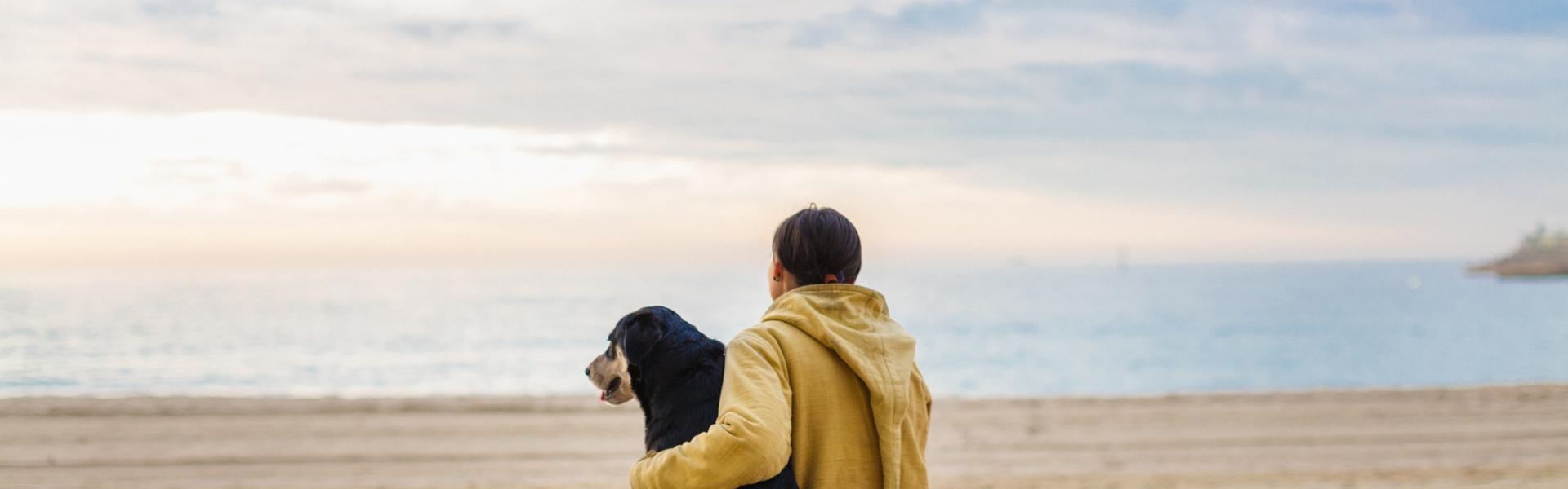Why pet-friendly properties perform better  - HomeToGo