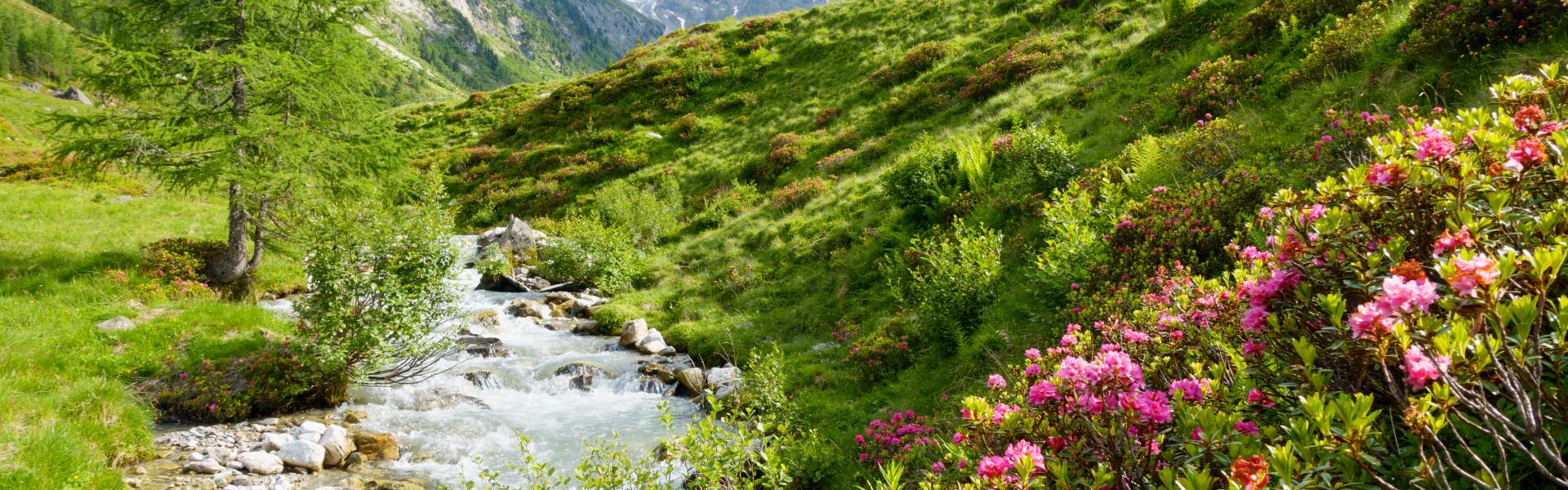 Reisen wie Einheimische: Geheimtipps für den Urlaub in Österreich - HomeToGo