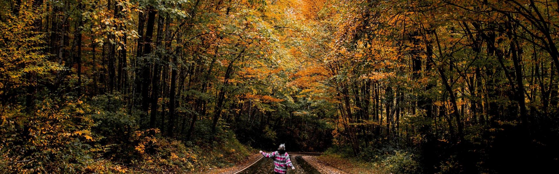 Tennessee Cabin Rentals - HomeToGo