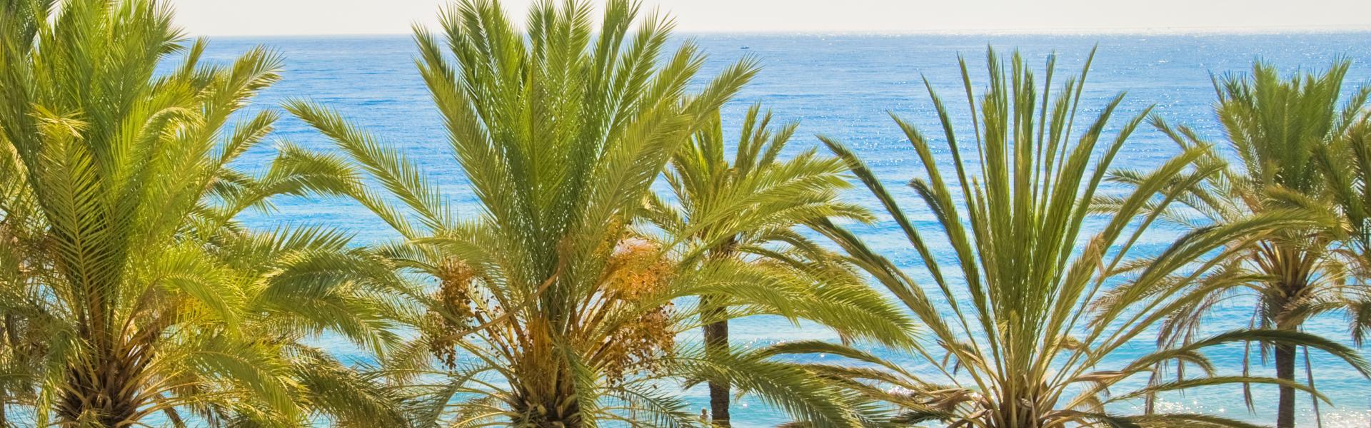 Appartamenti e case vacanze a Marbella in affitto - CaseVacanza.it