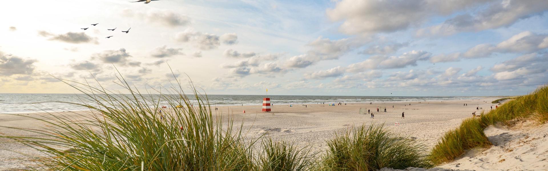 Ferienhäuser am Henne Strand - Ferienhaus.de