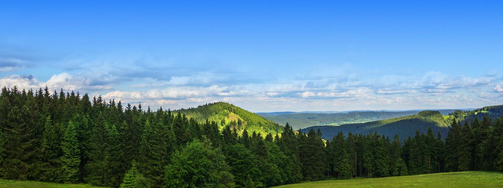 Thüringer Wald von oben