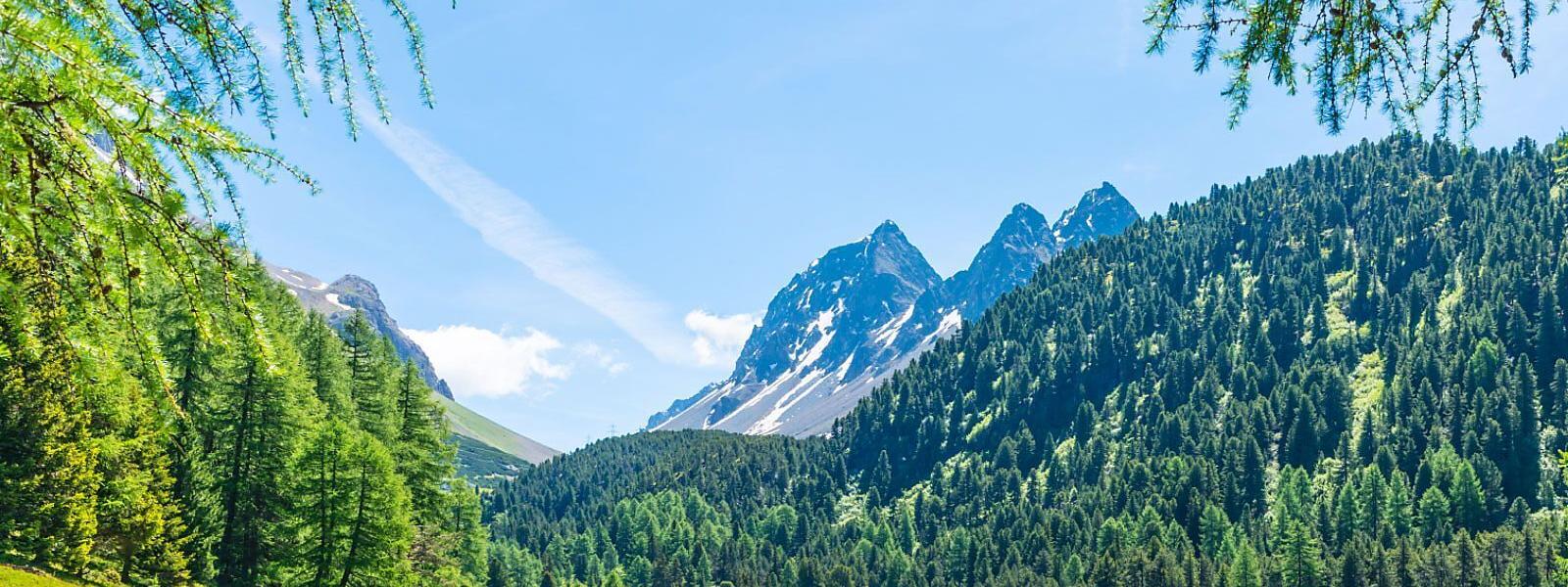 Ferienwohnungen und Ferienhäuser in Misox: Alpenidylle in Graubünden - e-domizil